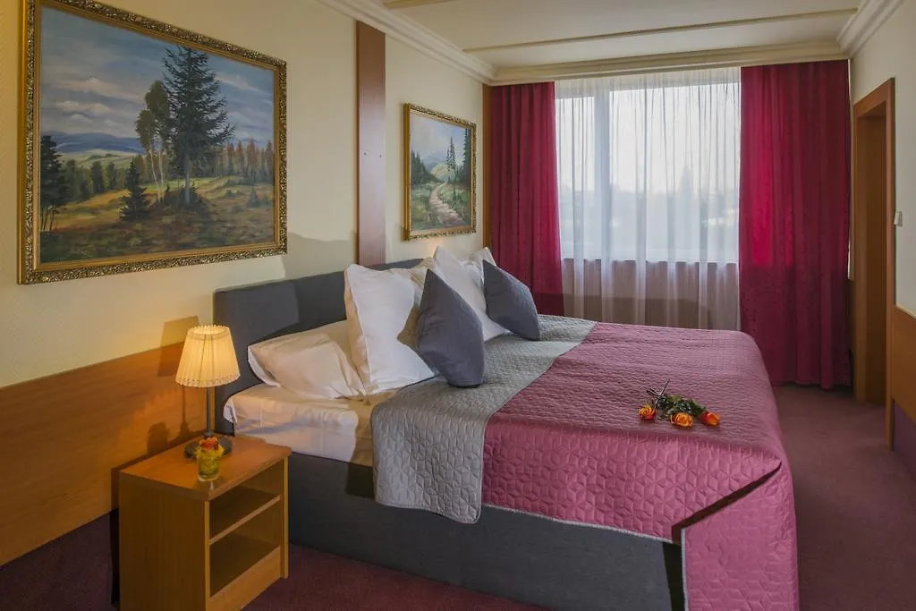 Top Hotel Praha-1